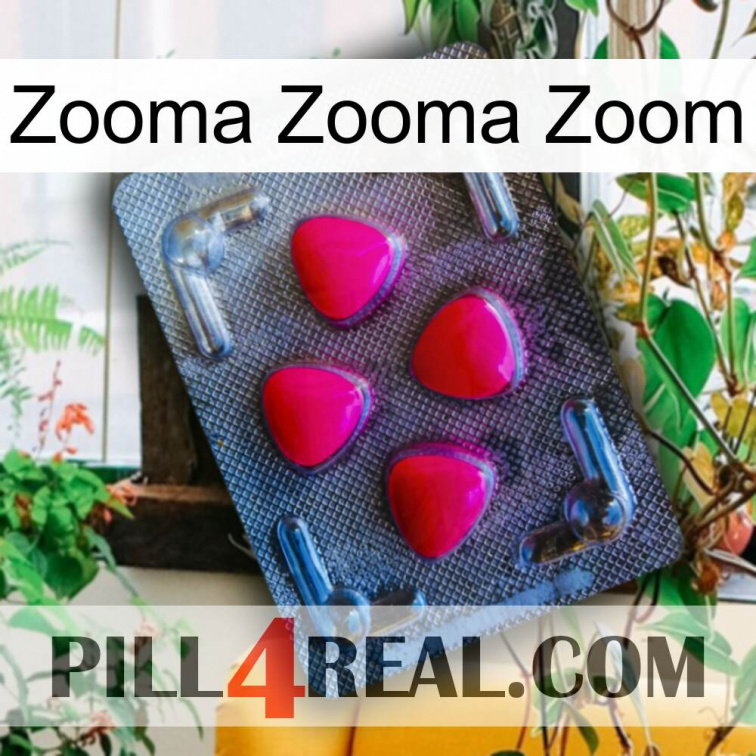 Zooma Zooma Zoom 13